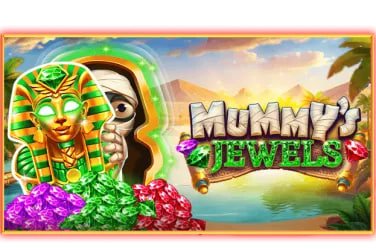 555rr1
